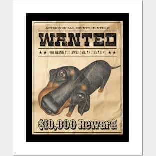 Funny Cute Doxie Dachshund Dog Wanted Poster Posters and Art